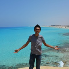 Ahmed Bahgat