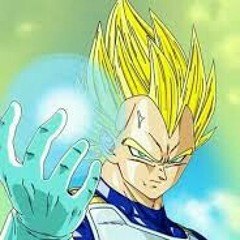 Tio Vegta Grau Mil