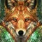 Healing Fox