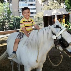abo shenoda