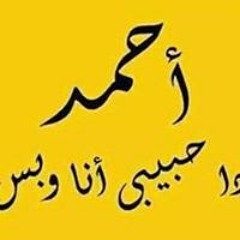 أحمد حياتى