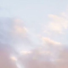 Lil_360potato
