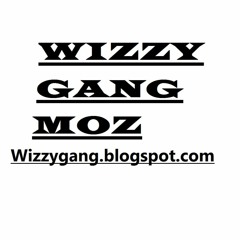 Wizzy Gang Moz