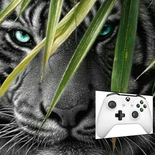 BLACK TIGER PLAYZ’s avatar