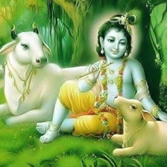 Mayank Patel