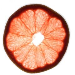 Grapefruit Productions