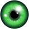 ONE VISION NATION OFFICIAL