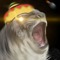 Sombrero Guy | Part 2: Battle Tendency