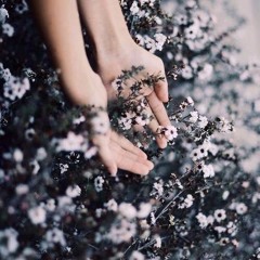Shereen Sedky
