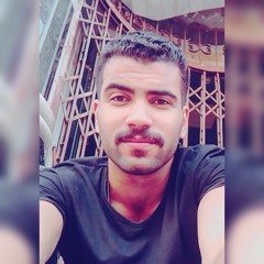 M.Shokry