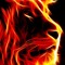 Mr Blackroz