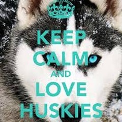 Huskylover12345678