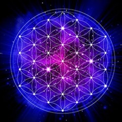 KerahRose