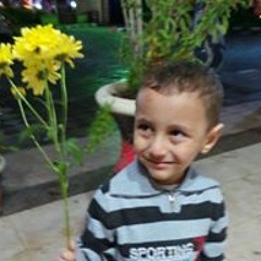 Ahmed Mohmed Dawood