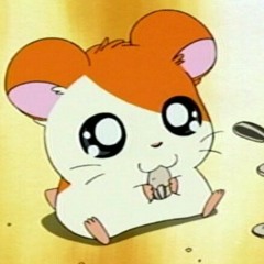 leejisu