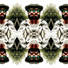 #Gurunomads #WildSideCruzer #LiveLover