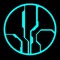Primordium