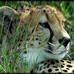 Juan Mario Salazar Medina