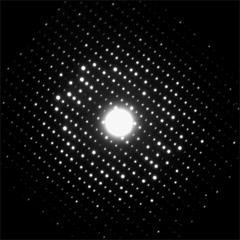 Haraway