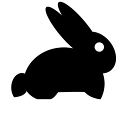 Rabbit!