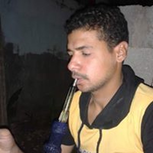 محمودفوزي ابوسلامه’s avatar