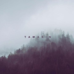 Tamarin