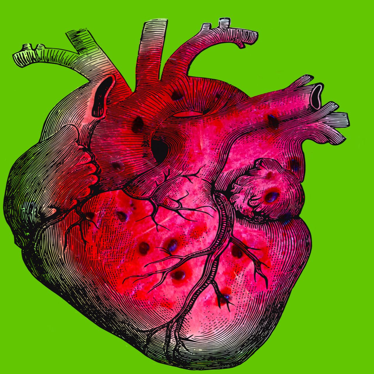 Melon Heart podcast artwork