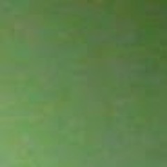 dian anic-dagang pindang