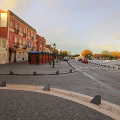 primary somatosensory