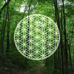 Larissa Antidepressiva