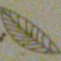 ￦hθl€ N£￦ Fr33Z€Г