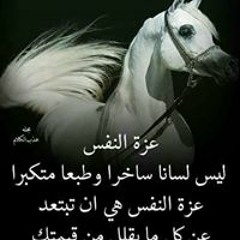 فرح على