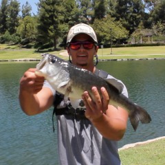 Rumble Fish Outdoors