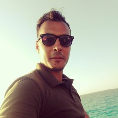 Ramy Adel 37