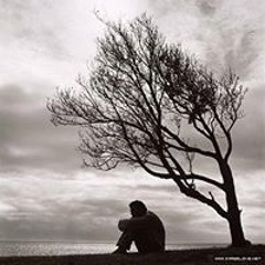 الباشا عبده