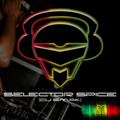 DJ Smak (Selector Spice)