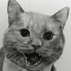 Владислав Колбасов