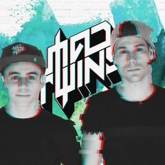 Mad Twins