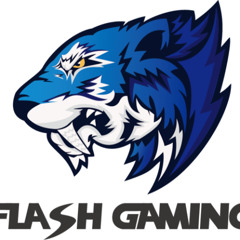 FLASH GAMEPLAY