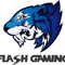 FLASH GAMEPLAY