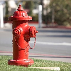 lil hydrant