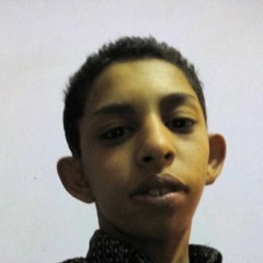 Ahmed Atef Shaaban
