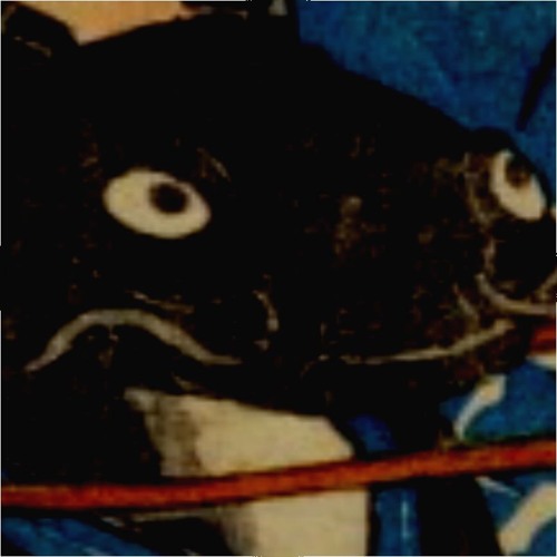 Smelly Catfish’s avatar