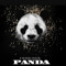 Mr Panda