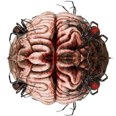 Brain Spiders