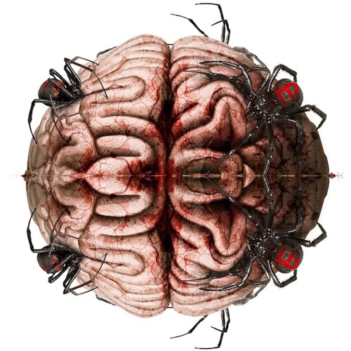 Brain Spiders’s avatar