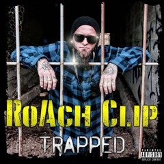 RoAchClip805