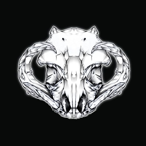 Infinite Warthogs Records’s avatar