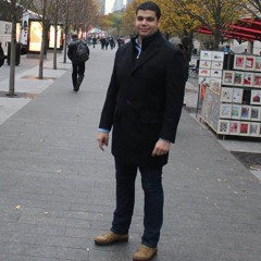Ahmed Amin Hammad