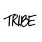 Collectif TRIBE